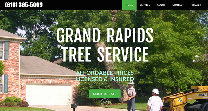 Grand rapids tree service local lead gen site