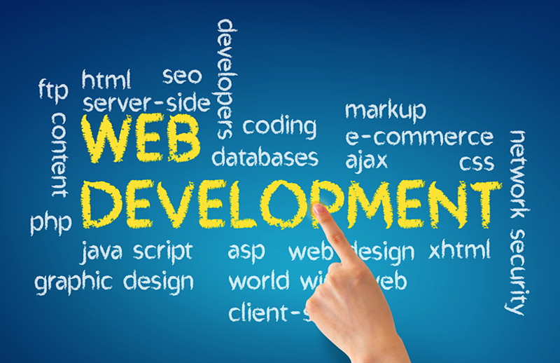 infographic breaking down the different elements of web development